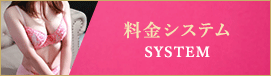 料金システム